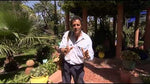 Video: Watch & learn from visits to gardens in Spain, Morocco and Italy!
