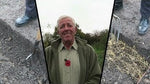 Video: Autumn Buddleia trim and how to plant brassica, Tutorial, UK