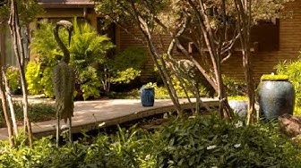 Video: Exotic garden in Oklahoma, USA