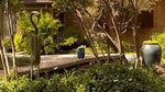 Video: Exotic garden in Oklahoma, USA