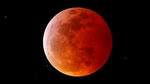Video: See here pictures of the Lunar eclipse 2019!