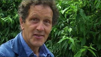 Video: Learn more about the history of british gardens in this last episode of 4, UK